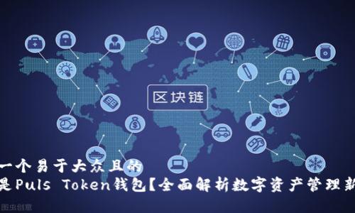 思考一个易于大众且的
什么是Puls Token钱包?全面解析数字资产管理新选择