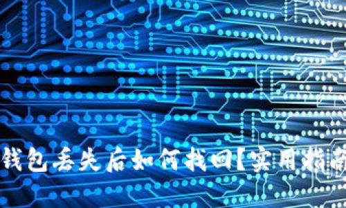 狗狗币钱包丢失后如何找回?实用指南与技巧