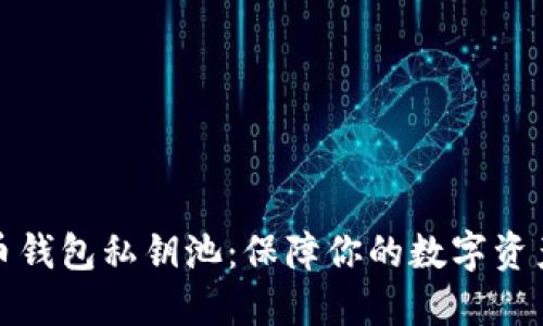 比特币钱包私钥池:保障你的数字资产安全