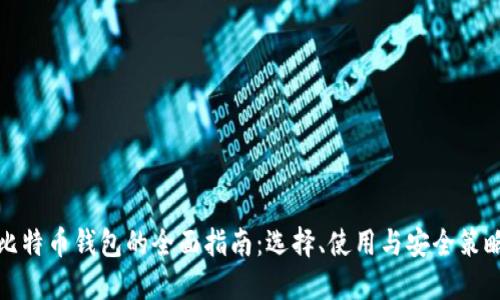 比特币钱包的全面指南:选择、使用与安全策略