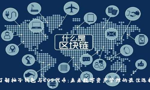 了解柚子钱包与EOS代币:未来数字资产管理的最佳选择