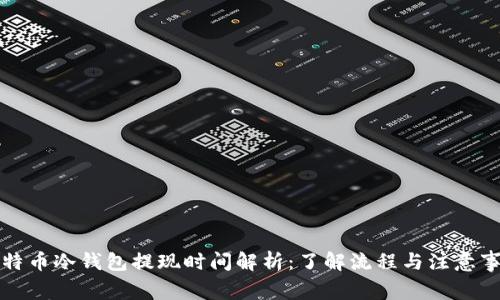 比特币冷钱包提现时间解析:了解流程与注意事项