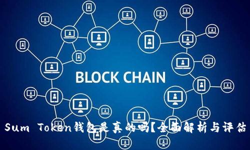 Sum Token钱包是真的吗?全面解析与评估