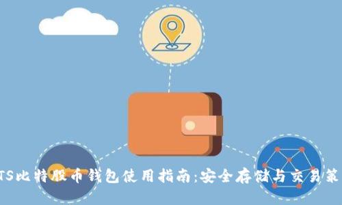 BTS比特股币钱包使用指南:安全存储与交易策略