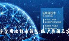 如何安全使用比特币钱包