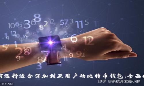 如何选择适合保加利亚用户的比特币钱包:全面指南
