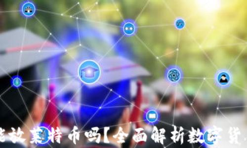 比特币钱包能放莱特币吗?全面解析数字货币钱包的功能