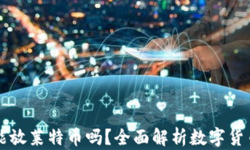 比特币钱包能放莱特币吗?全面解析数字货币钱包的功能