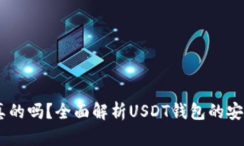 USDT钱包是真的吗?全面解析USDT钱包的安全性与可信度