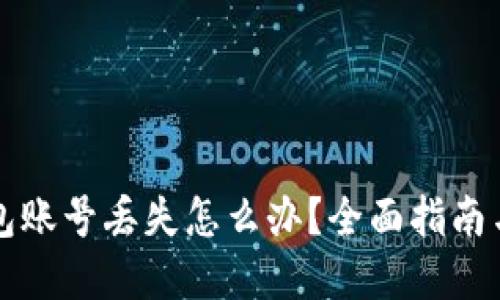 比特币钱包账号丢失怎么办?全面指南与解决方案