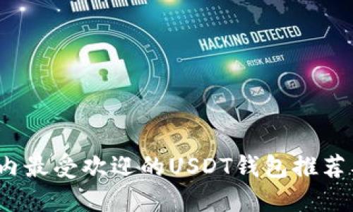 2023年国内最受欢迎的USDT钱包推荐及使用指南