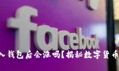 将Token放入钱包后会涨吗？