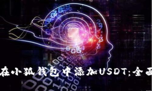 如何在小狐钱包中添加USDT：全面指南