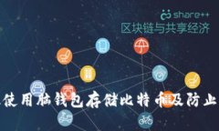 如何有效使用脑钱包存储