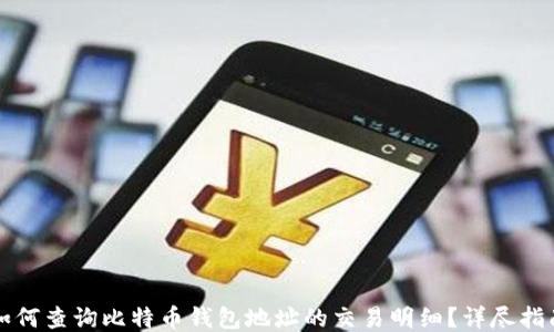 如何查询比特币钱包地址的交易明细?详尽指南