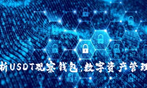深度解析USDT观察钱包:数字资产管理新选择