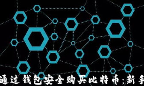 如何通过钱包安全购买比特币:新手指南