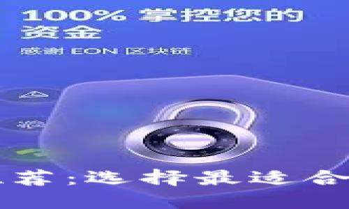 比特币钱包推荐:选择最适合你的钱包类型