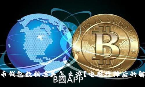 : 比特币钱包数据丢失怎么办?电脑故障后的解决方案