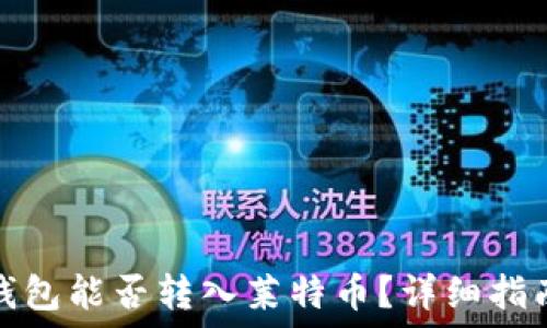   
比特币钱包能否转入莱特币？详细指南与解答