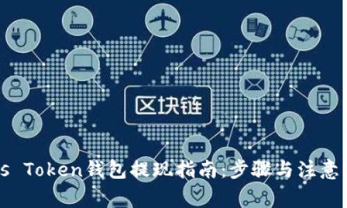 Plus Token钱包提现指南:步骤与注意事项