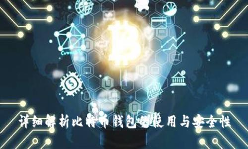 详细解析比特币钱包的使用与安全性