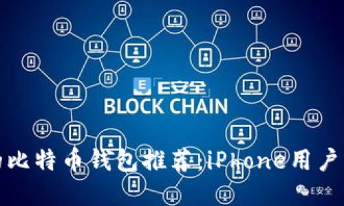 最受欢迎的比特币钱包推荐:iPhone用户的终极指南