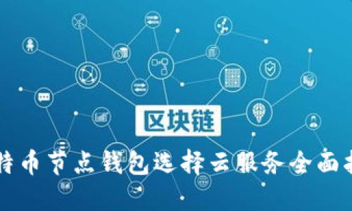 比特币节点钱包选择云服务全面指南