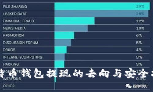 比特币钱包提现的去向与安全指南