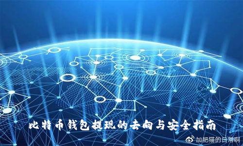 比特币钱包提现的去向与安全指南