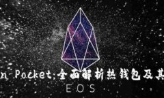 Token Pocket：全面解析热钱