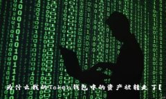 为什么我的Token钱包中的资