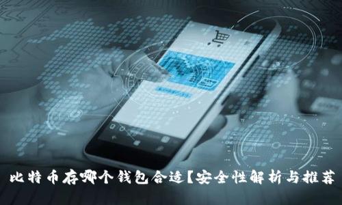 比特币存哪个钱包合适?安全性解析与推荐
