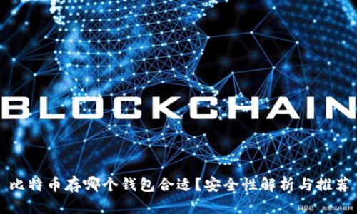 比特币存哪个钱包合适?安全性解析与推荐