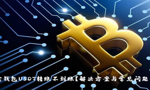 波宝钱包USDT转账不到账?解决方案与常见问题解析