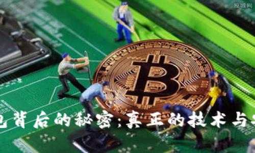 比特币钱包背后的秘密：真正的技术与安全性分析