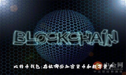 比特币钱包:存放哪些加密货币和数字资产