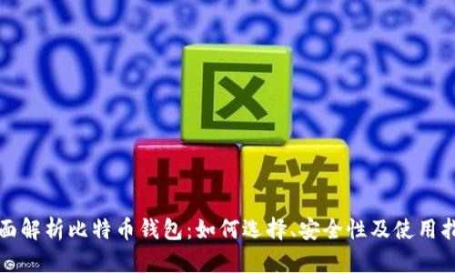 全面解析比特币钱包:如何选择、安全性及使用指南