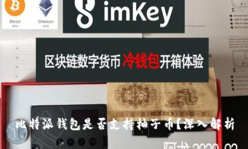 比特派钱包是否支持柚子币?深入解析