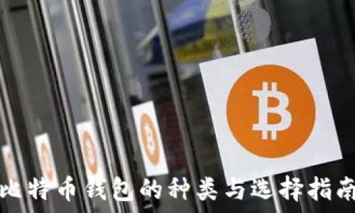 比特币钱包的种类与选择指南
