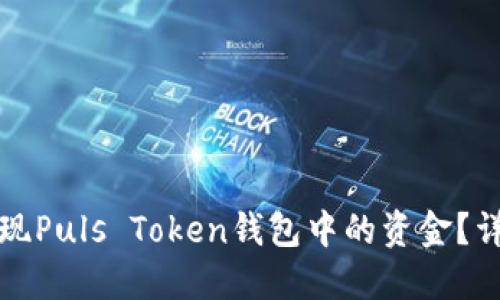 如何提现Puls Token钱包中的资金?详细指南