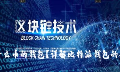 比特派是什么币的钱包?详解比特派钱包的功能与优势