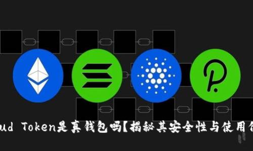 Cloud Token是真钱包吗?揭秘其安全性与使用价值