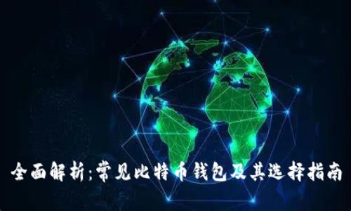 全面解析：常见比特币钱包及其选择指南