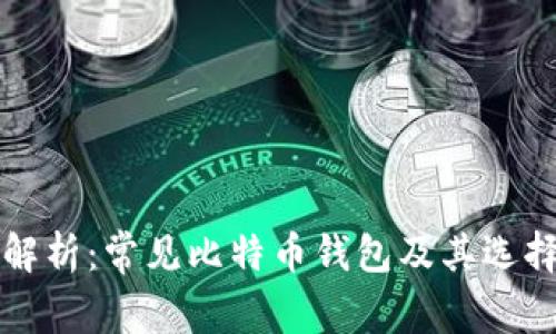 全面解析：常见比特币钱包及其选择指南