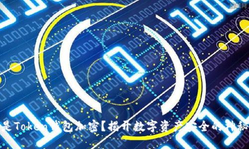 什么是Token钱包加密?揭开数字资产安全的神秘面纱