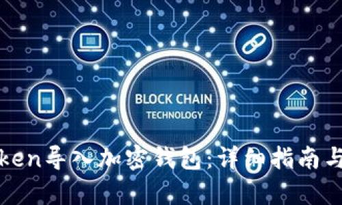 如何将Token导入加密钱包:详细指南与步骤解析