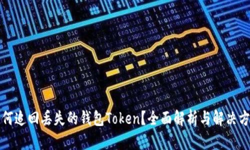 如何追回丢失的钱包Token？全面解析与解决方案