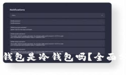 Token Pocket钱包是冷钱包吗?全面分析及使用指南
