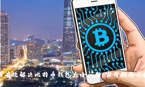 如何有效解决比特币钱包大小问题:实用指南与技巧